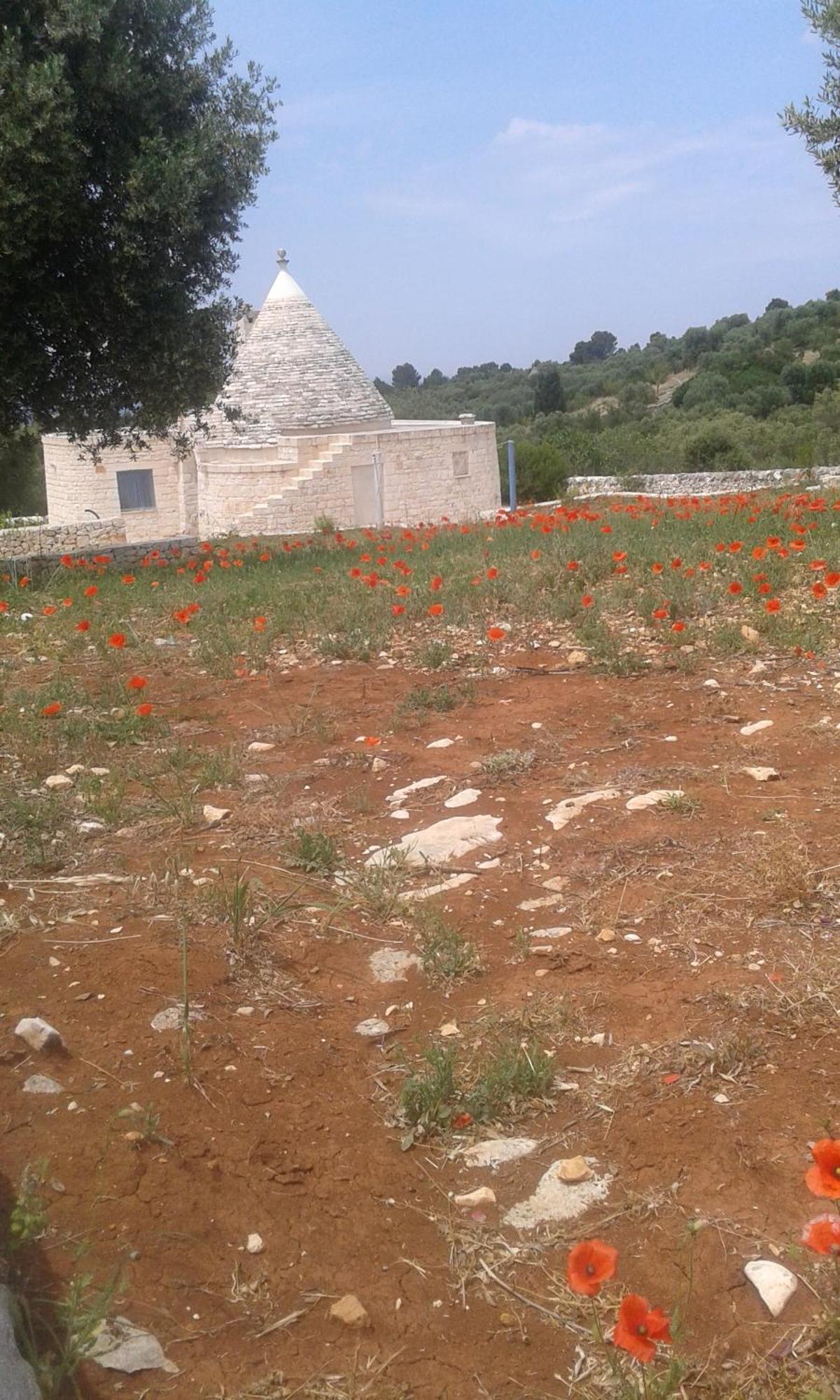 Trullo Alto Salento Villa Cisternino Eksteriør billede
