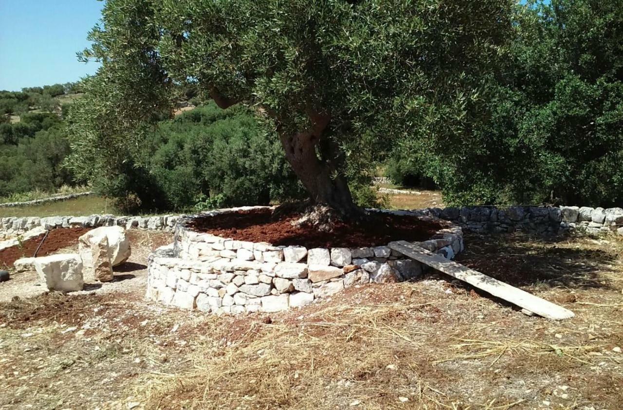 Trullo Alto Salento Villa Cisternino Eksteriør billede